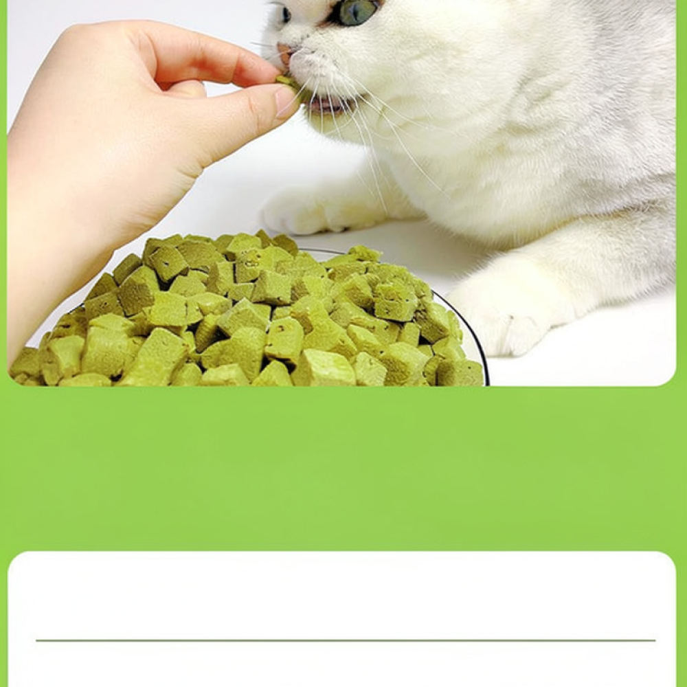 Dondurularak Kurutulmuş Kedi O - Healthy Snacks Food incelemesi ve fiyatı
