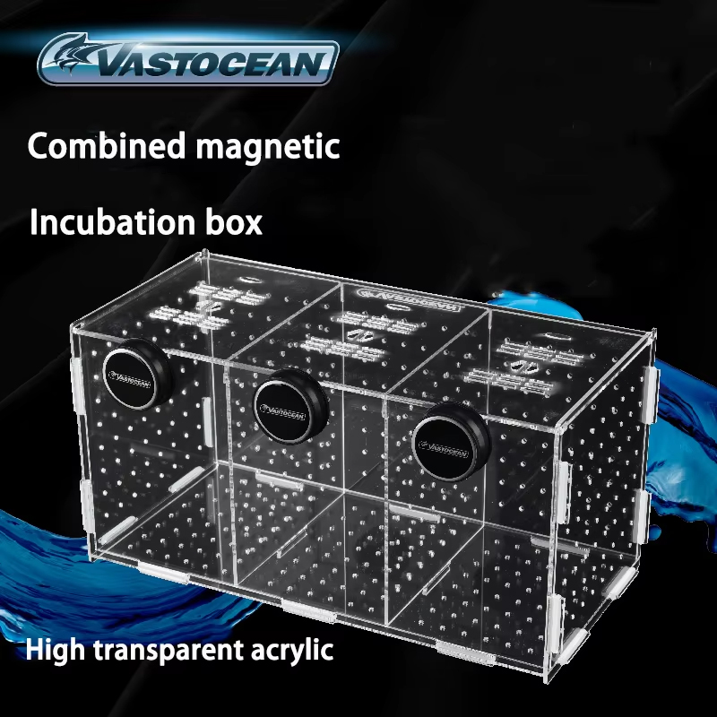 VASTOCEAN-Manyetik Kombine Akr - Seaweed Snack incelemesi ve fiyatı